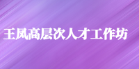 王凤高层次人才工作坊