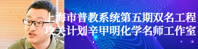 上海市普教系统第五期双名工程攻关计划辛甲明化学名师工作室
