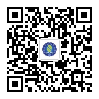 名师工作室网 新.jpg