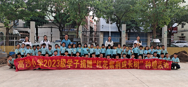 05.jpg
