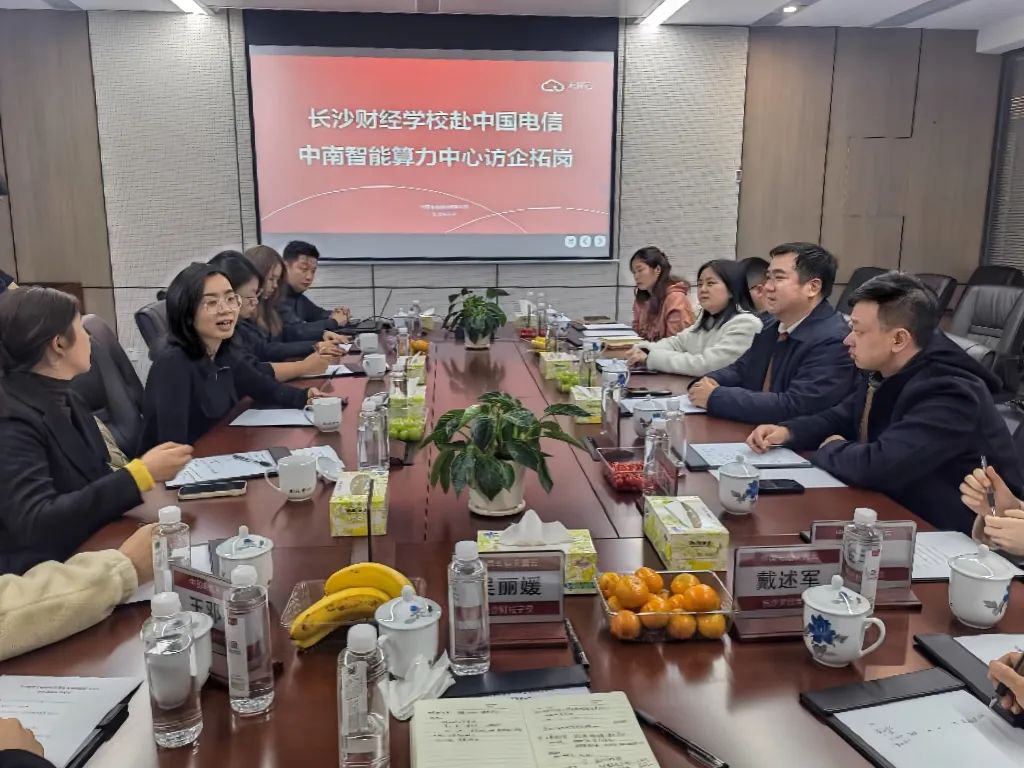 中国电信长沙分公司调研3.jpg