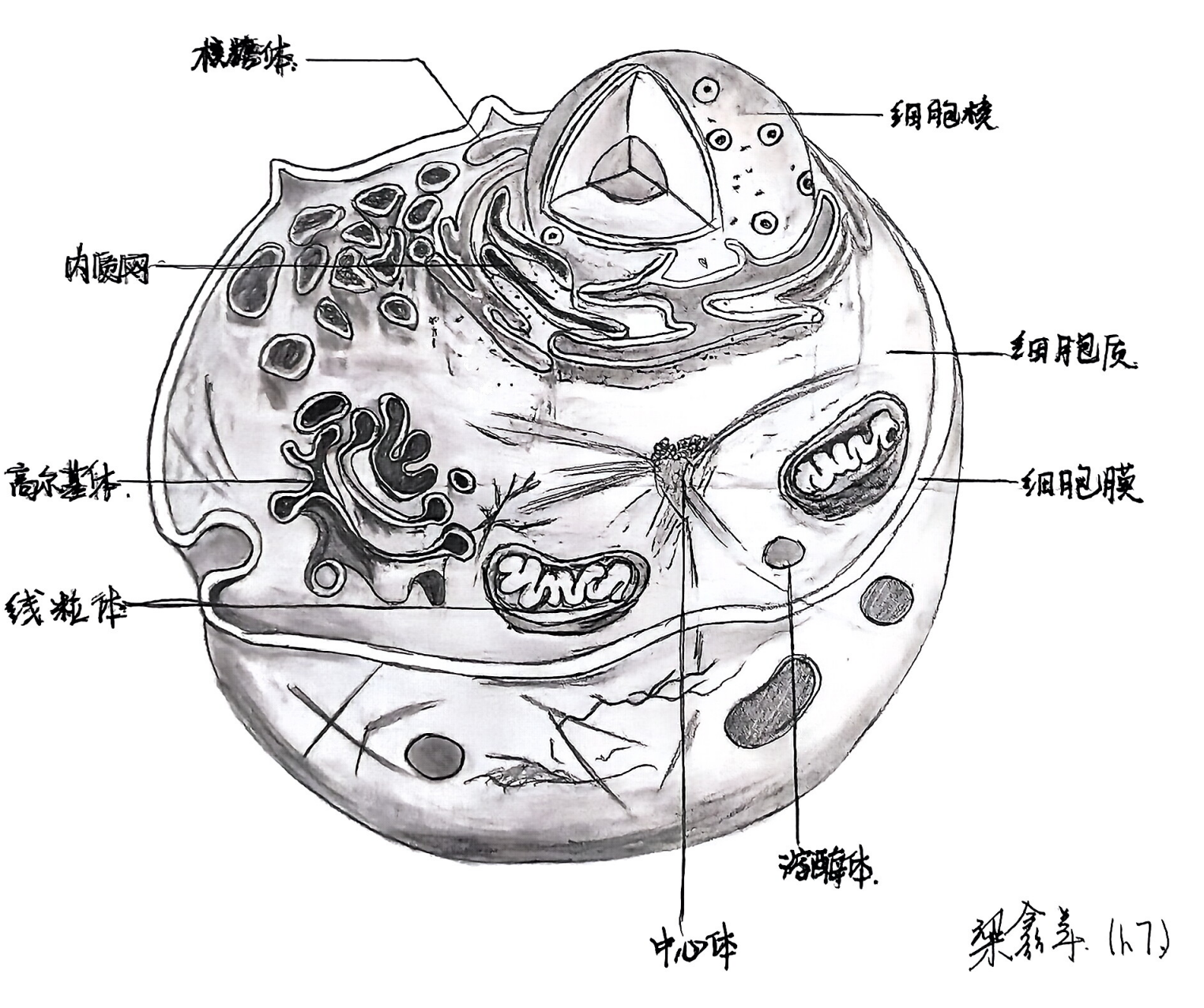 “模型我秀”学生作品展