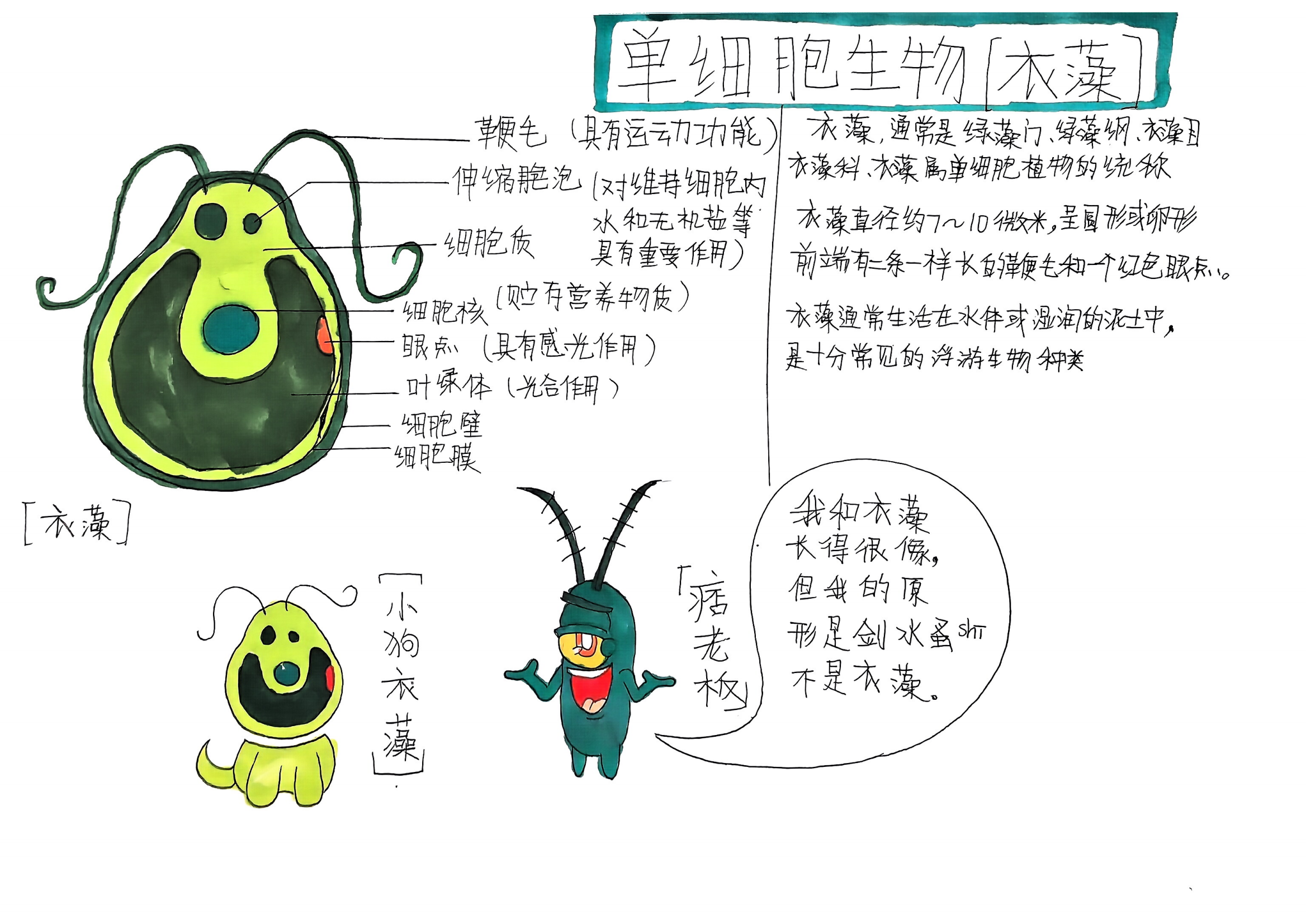 “模型我秀”学生作品展