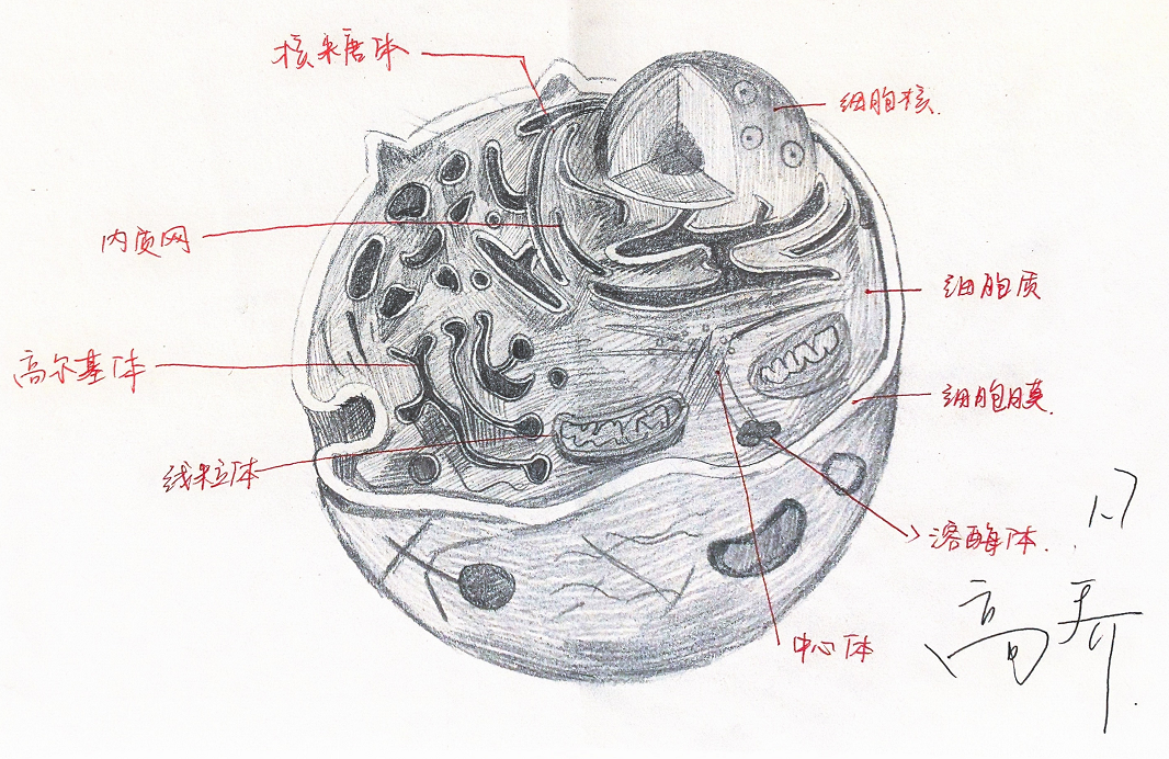 “模型我秀”学生作品展