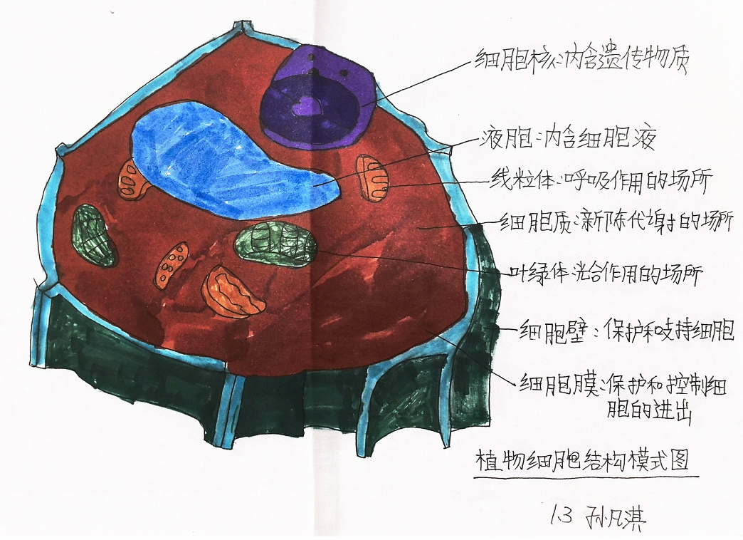 “模型我秀”学生作品展