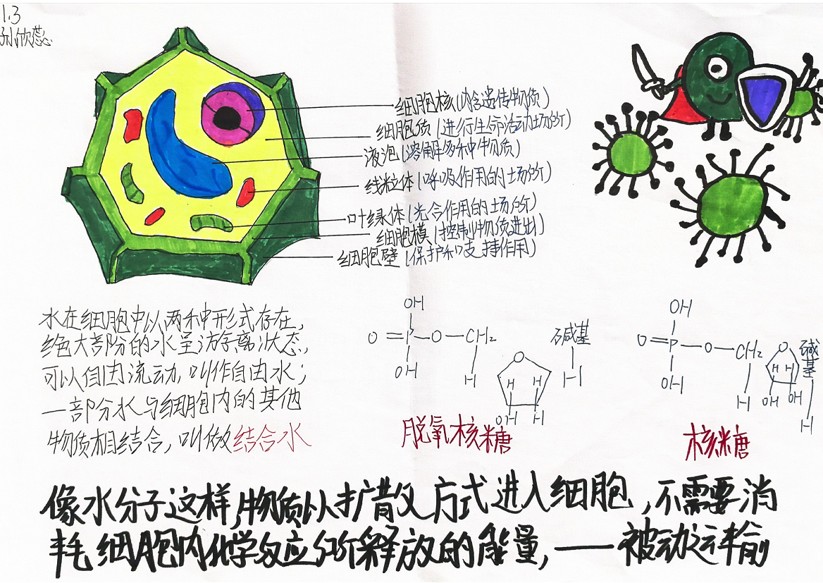“模型我秀”学生作品展
