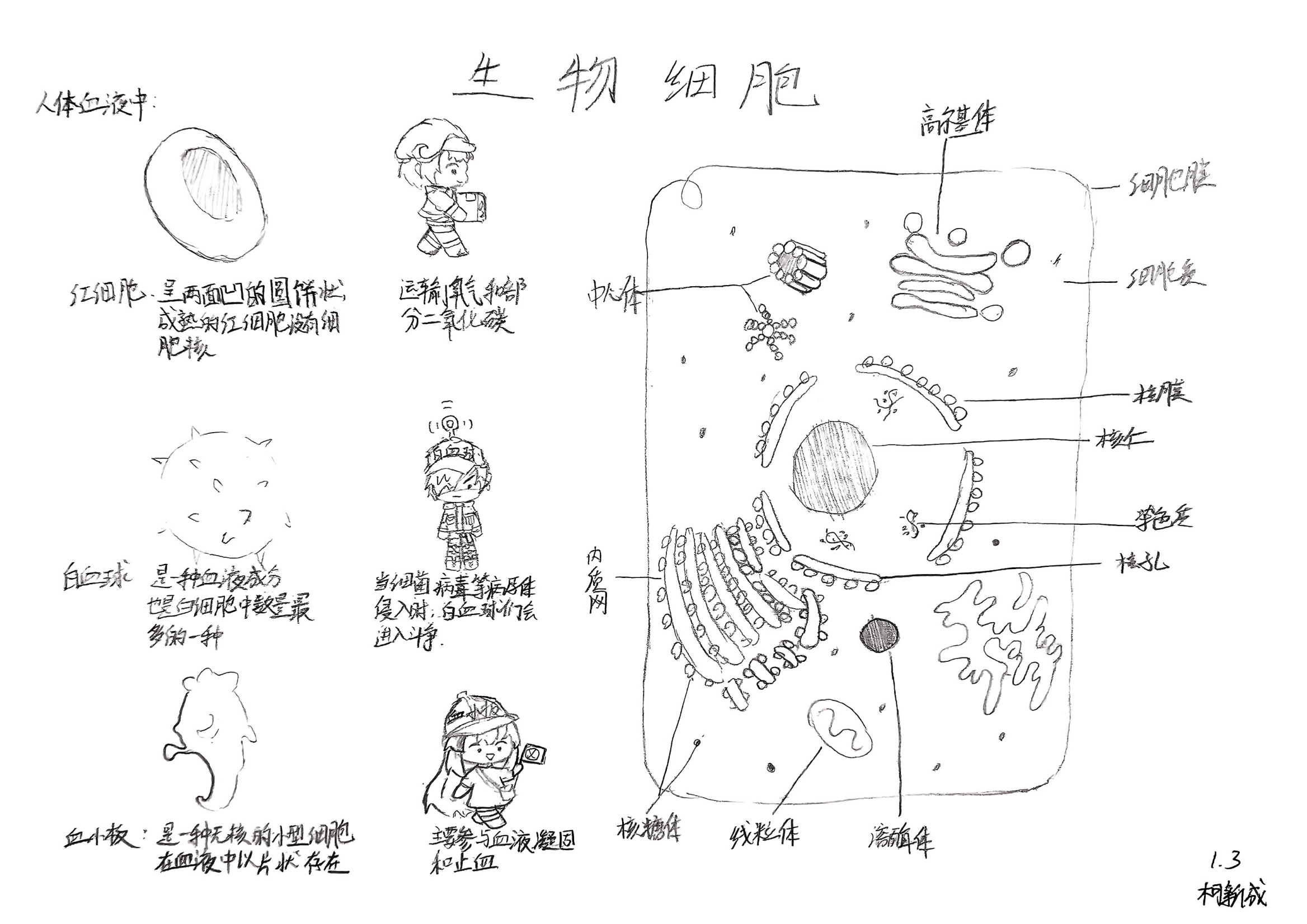 “模型我秀”学生作品展