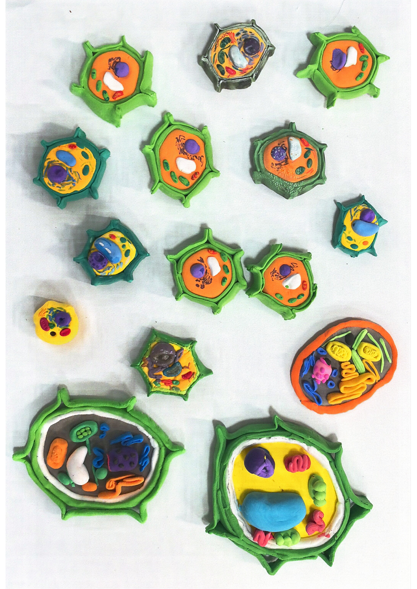 “模型我秀”学生作品展