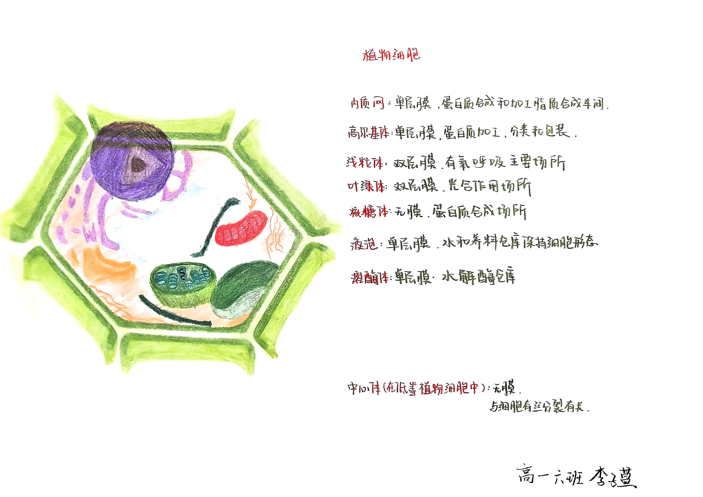 “模型我秀”学生作品展