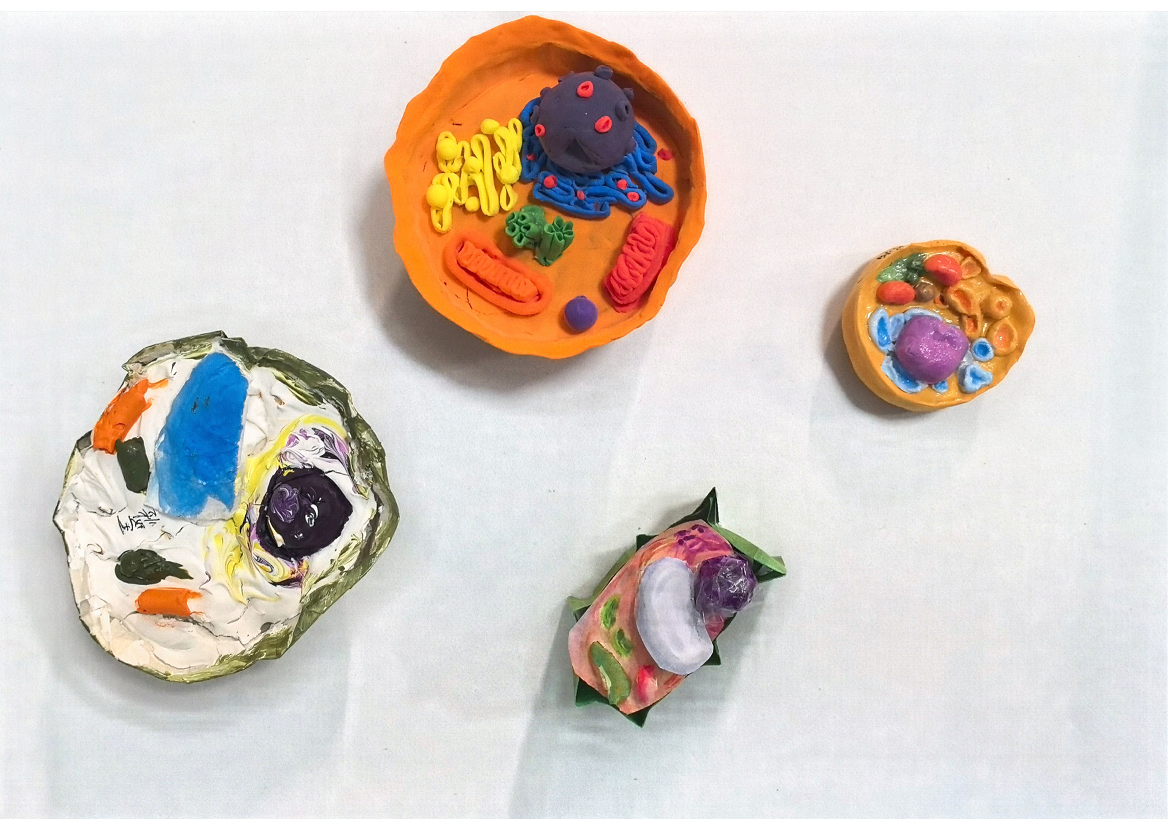 “模型我秀”学生作品展