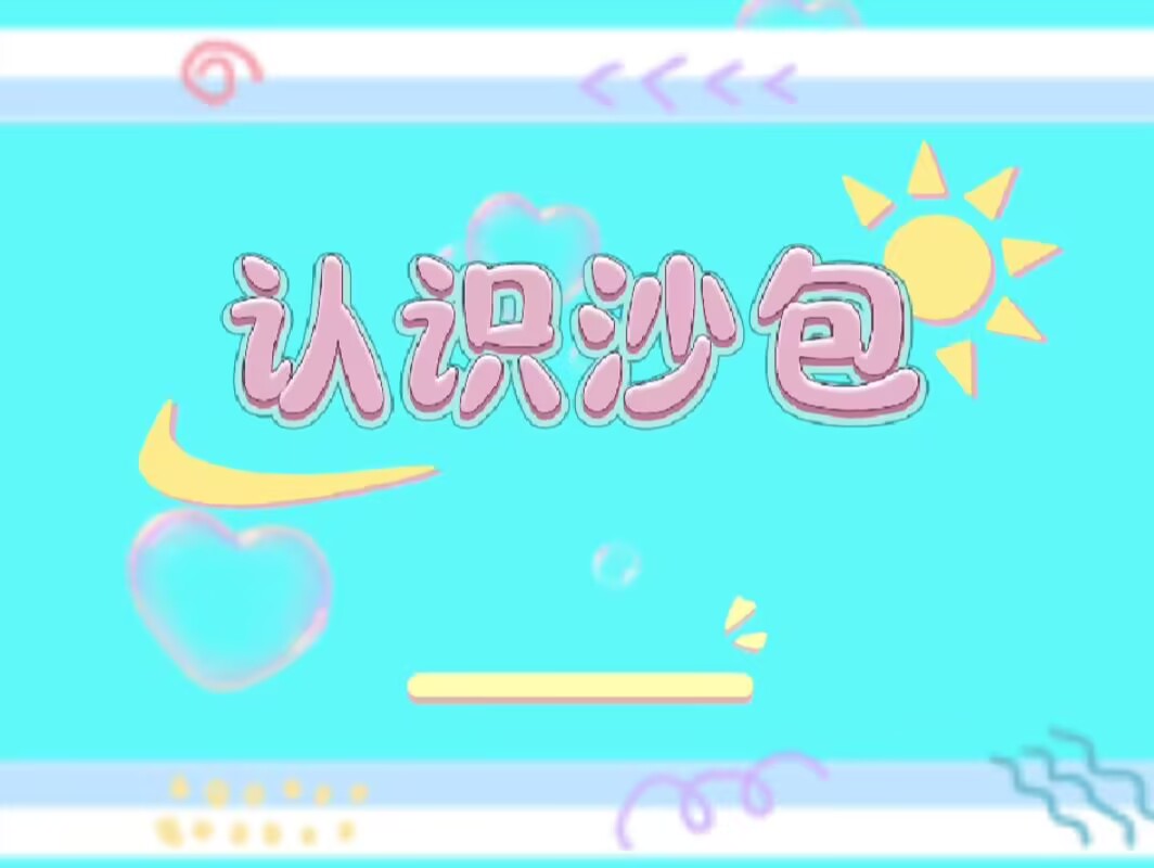 小二班本土资源2025.4.11《认识沙包》