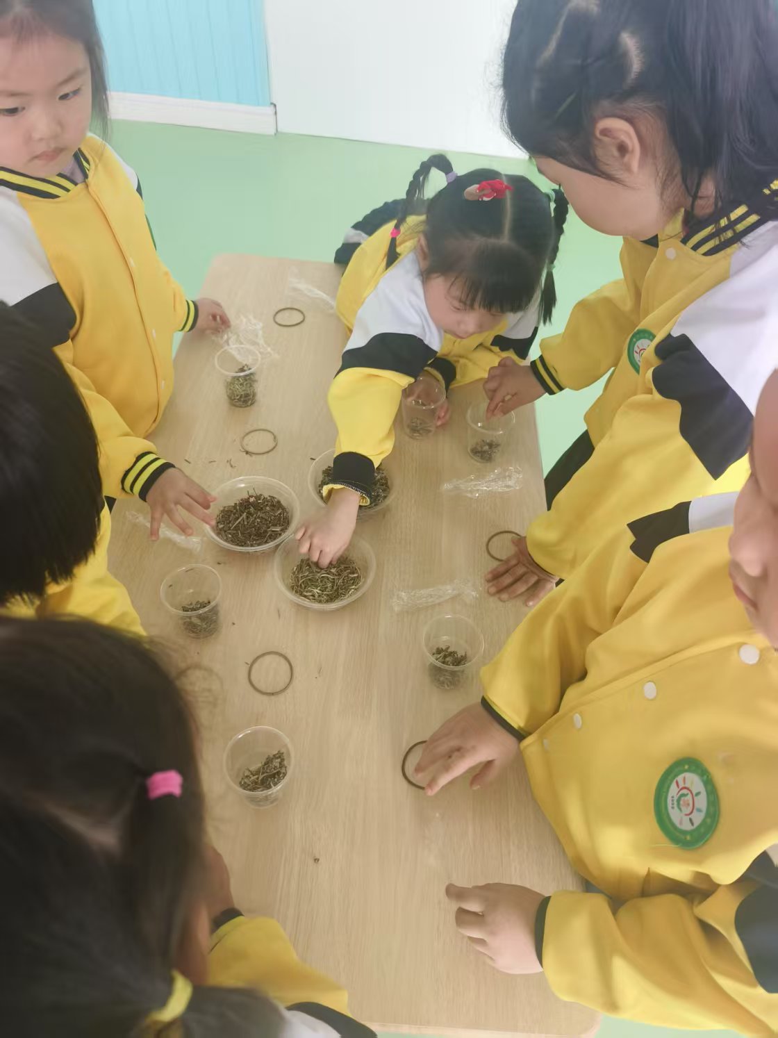 非遗文化——社会领域《悠悠国粹药草香》