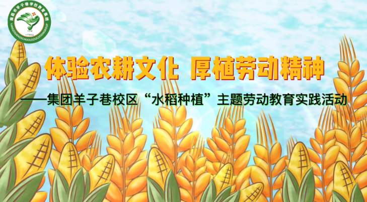 体验农耕文化  厚植劳动精神——集团羊子巷校区开展“水稻种植”主题劳动教育实践活动