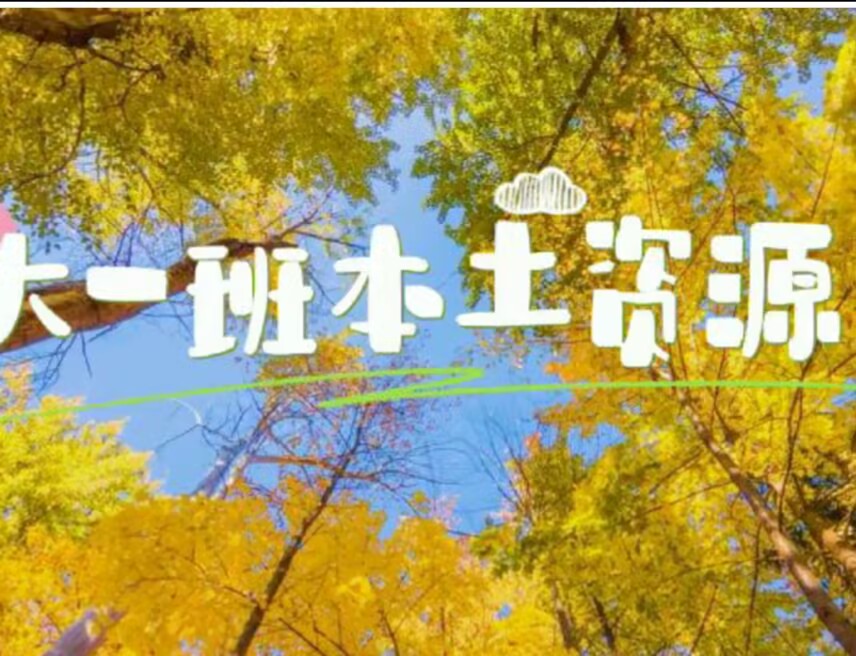2025.10.17大一班本土资源《树叶画》