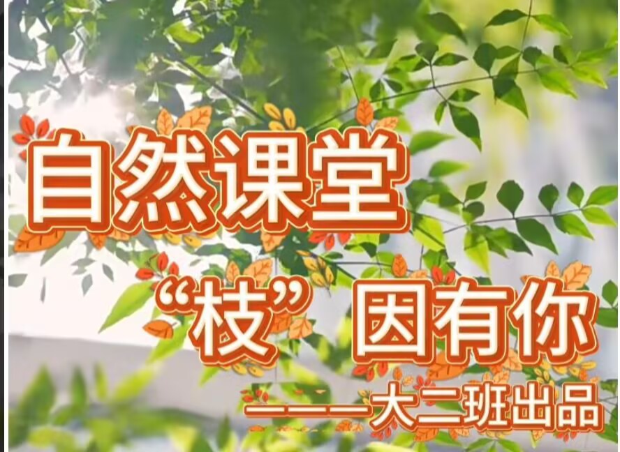2025.11.14大二班本土资源《自然课堂---“枝”因有你》