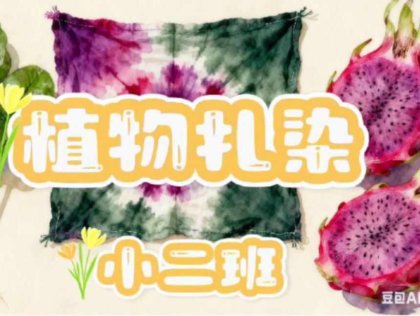 2025.11.28小二班扎染《植物扎染》