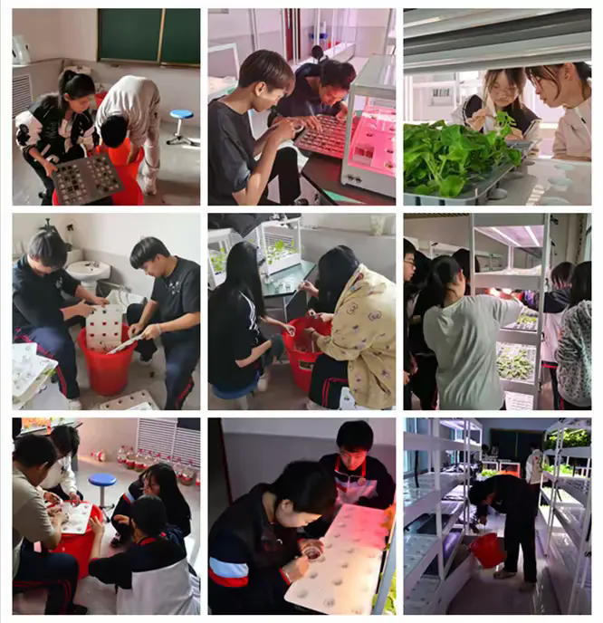 745751cff568400cab7cad4e98454b05__transed__jpg.heic~tplv-flrovnc8r8-s2-cC-q_0_0_0_0_q80.webp.png 745751cff568400cab7cad4e98454b05__transed__jpg.heic~tplv-flrovnc8r8-s2-cC-q_0_0_0_0_q80.webp.png