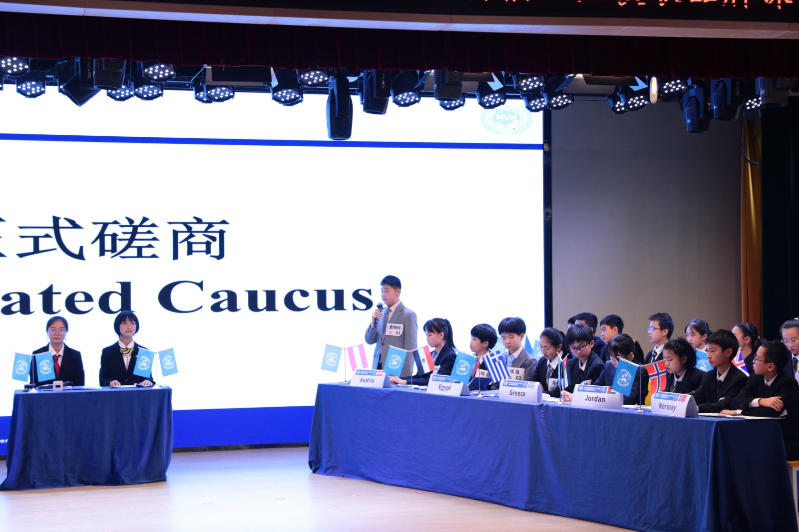 模拟联合国大会