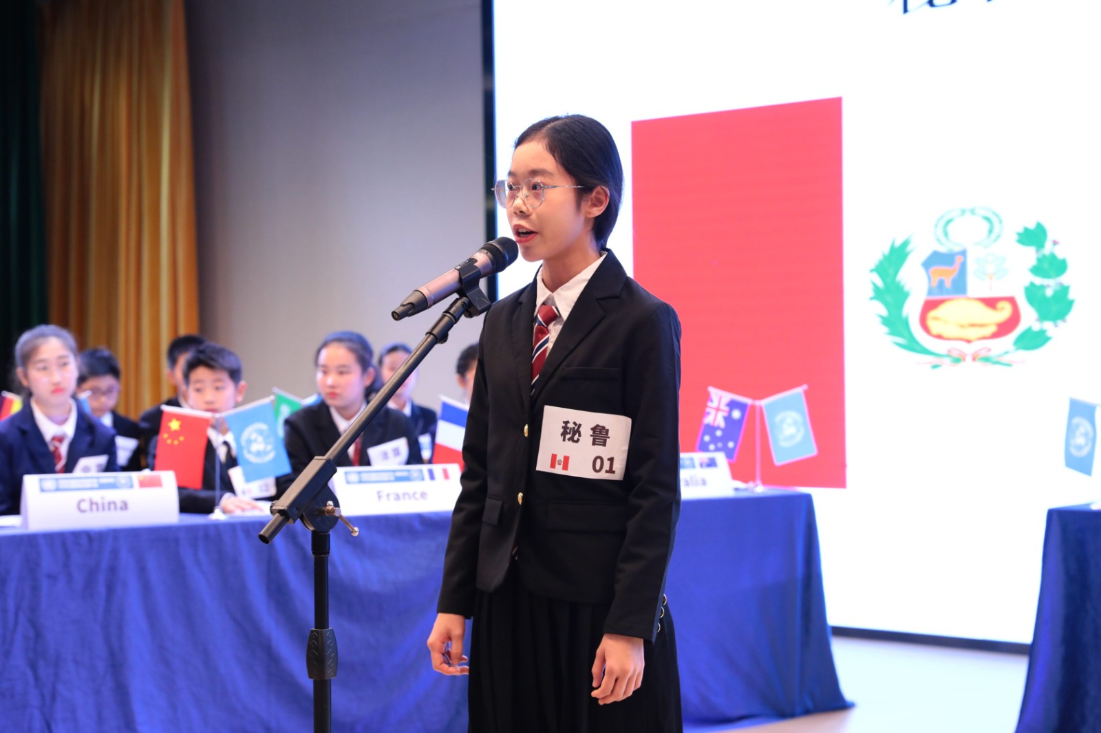 模拟联合国大会