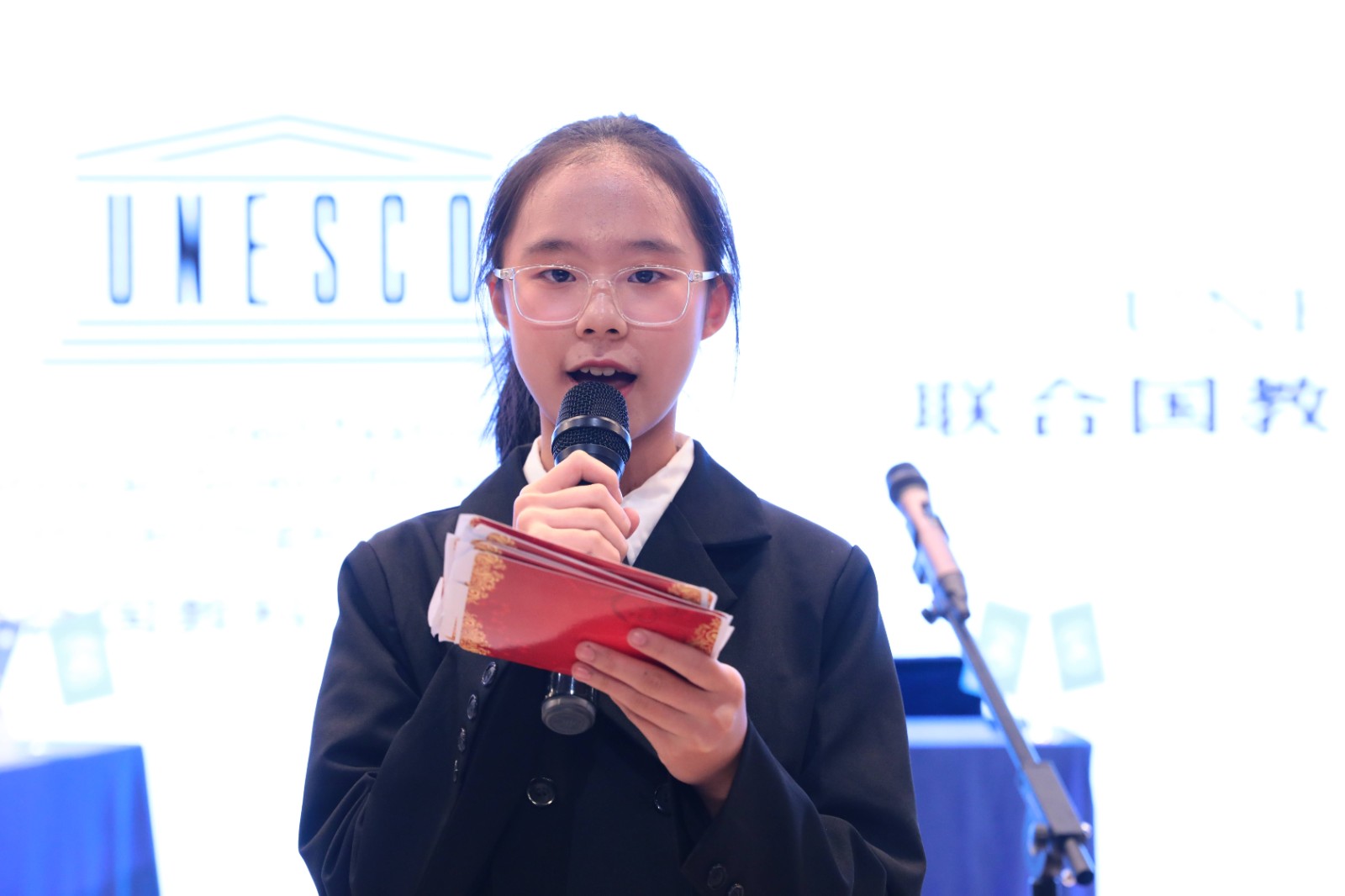 模拟联合国大会