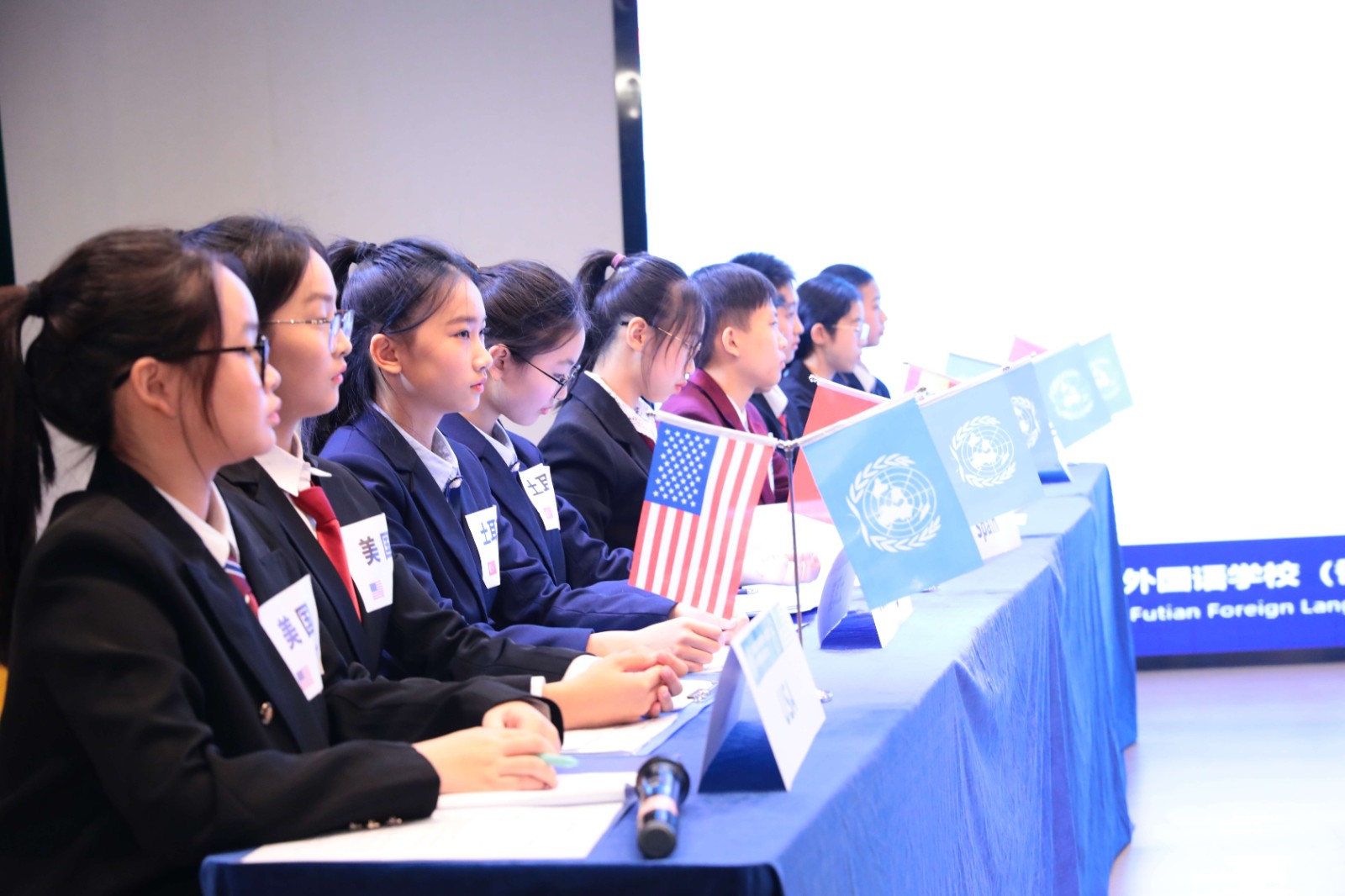 模拟联合国大会