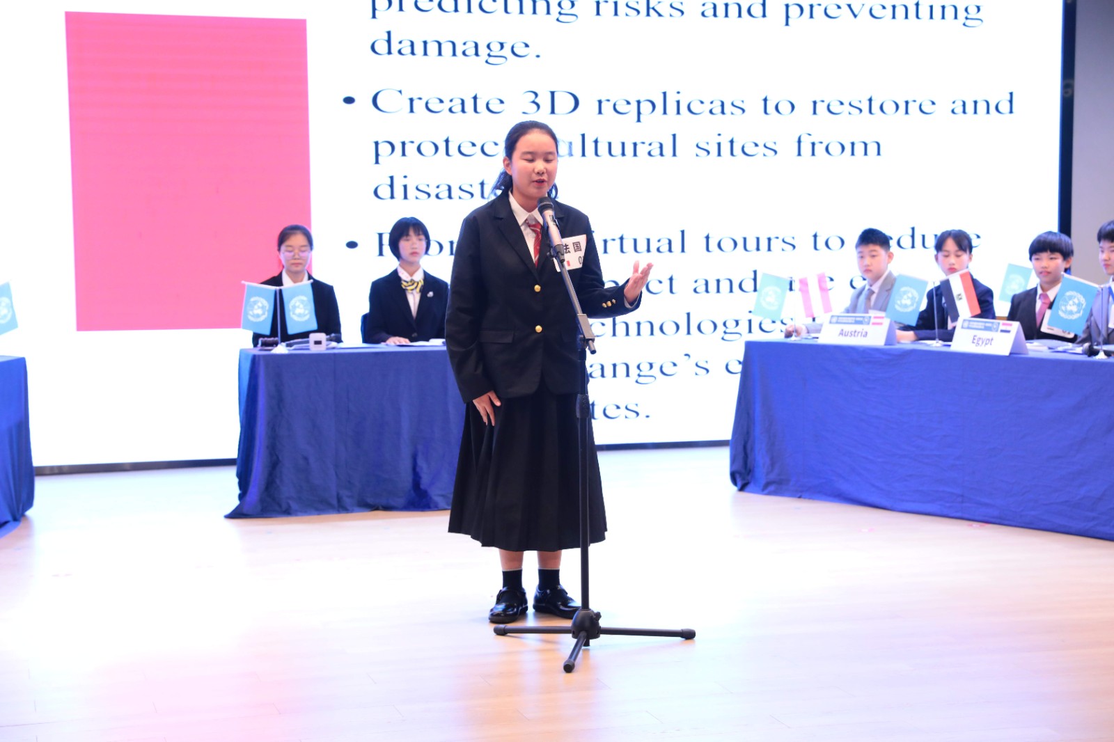 模拟联合国大会