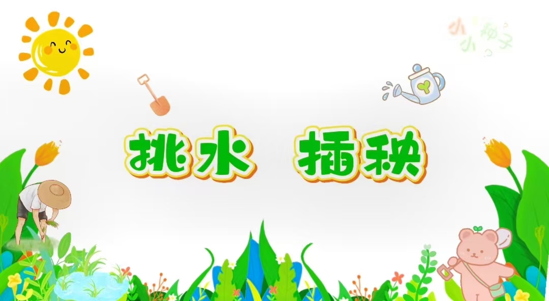 2026.4.3小四班本土资源《挑水.插秧》